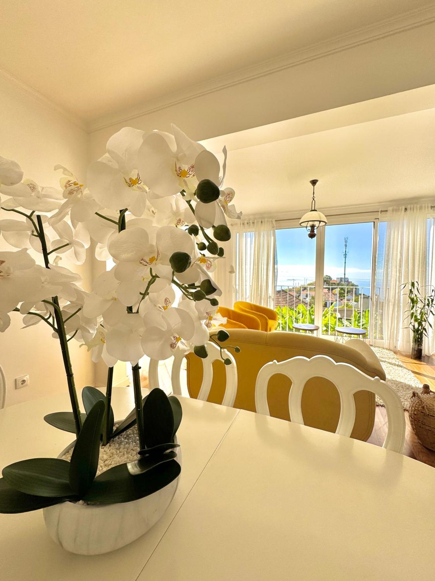 Апартаменти A Velha Casa Caboz Понта-ду-Сол Екстер'єр фото